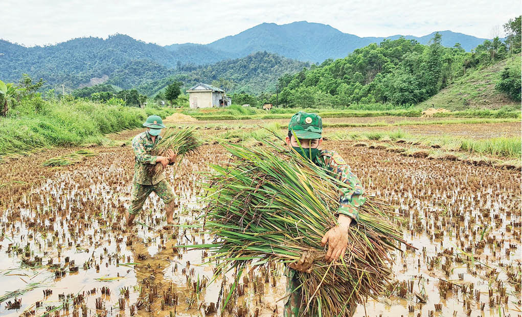 Ngày mùa ở biên giới