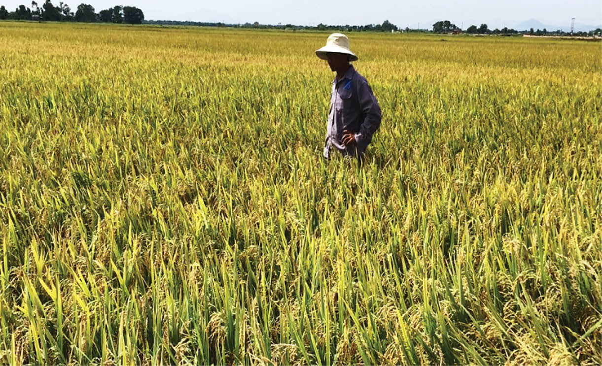 Ưu thế mô hình “ba giảm, ba tăng”