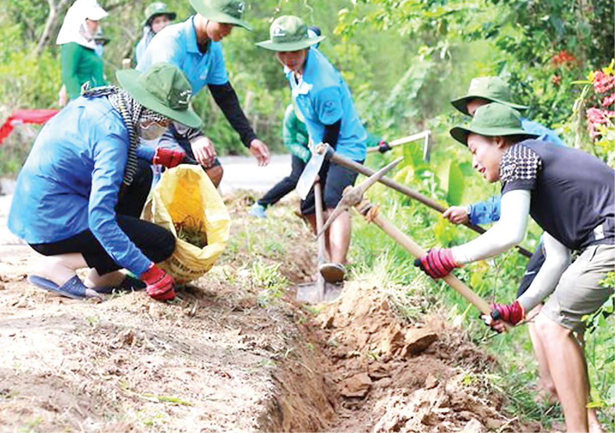 Đoàn Trường đại học Nông Lâm Nhiều hoạt động thiết thực, ý nghĩa