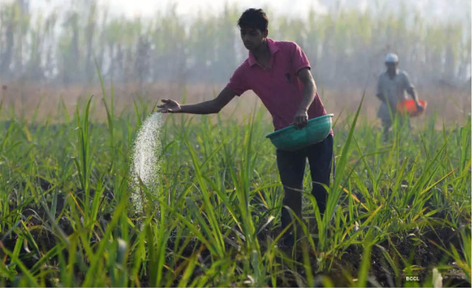 Giá phân bón thế giới dự kiến sẽ còn tăng cao trong thời gian dài