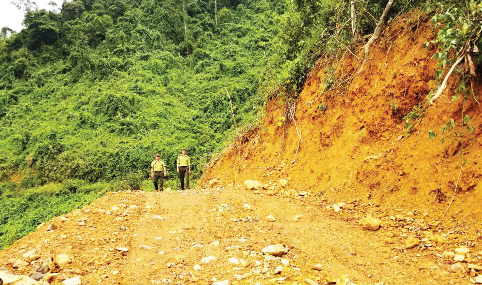 Cần sớm hoàn trả đường công vụ cho Vườn Quốc gia Bạch Mã