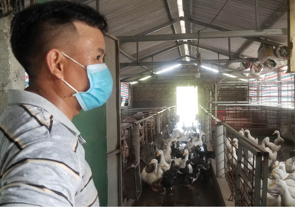 Chăn nuôi theo hướng an toàn, chất lượng