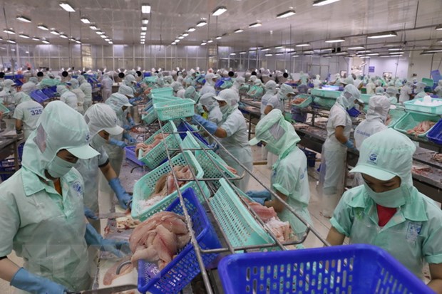 FSIS công nhận 19 nhà máy chế biến cá tra được xuất khẩu vào Mỹ