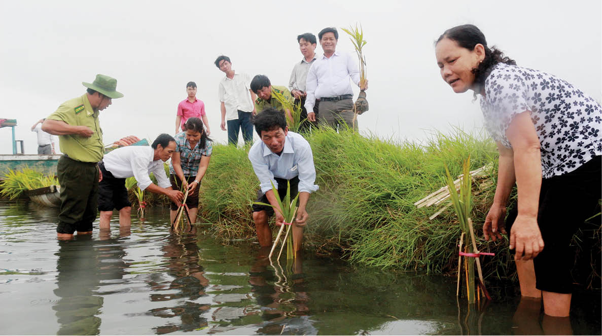 Bảo vệ “di sản thiên nhiên”