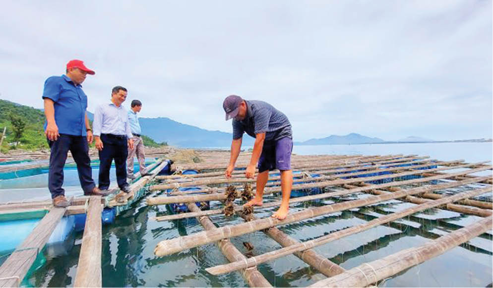 Mô hình kinh tế mới hiệu quả của nông dân