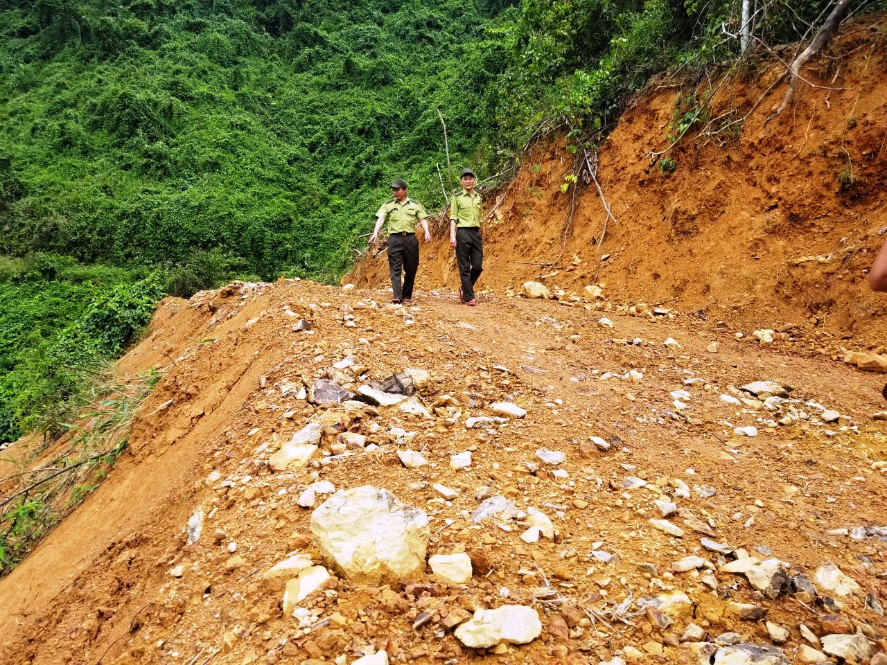 Hoàn trả đường công vụ tuần rừng trước 30 6