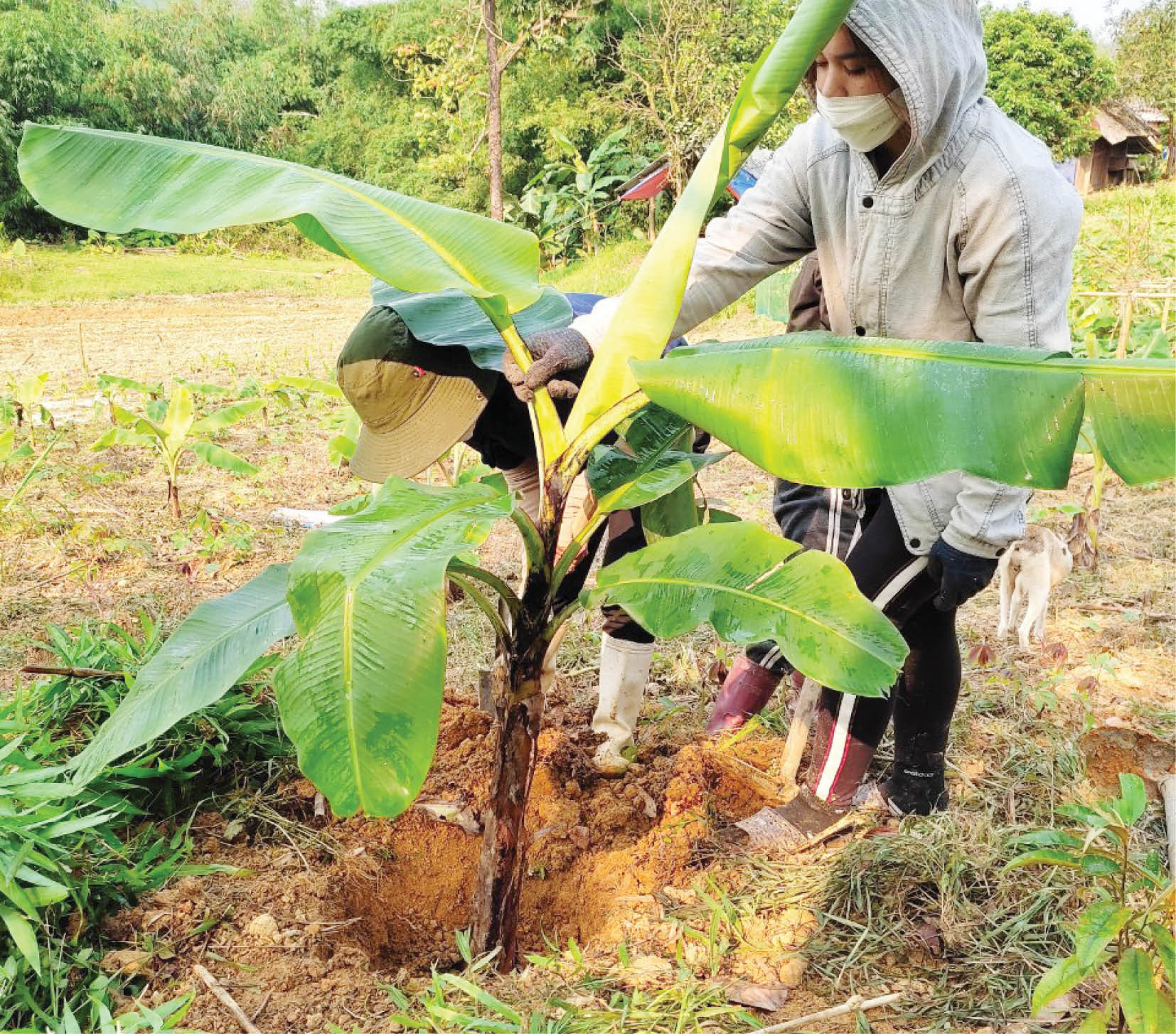 Khi phụ nữ dân tộc thiểu số làm chủ doanh nghiệp
