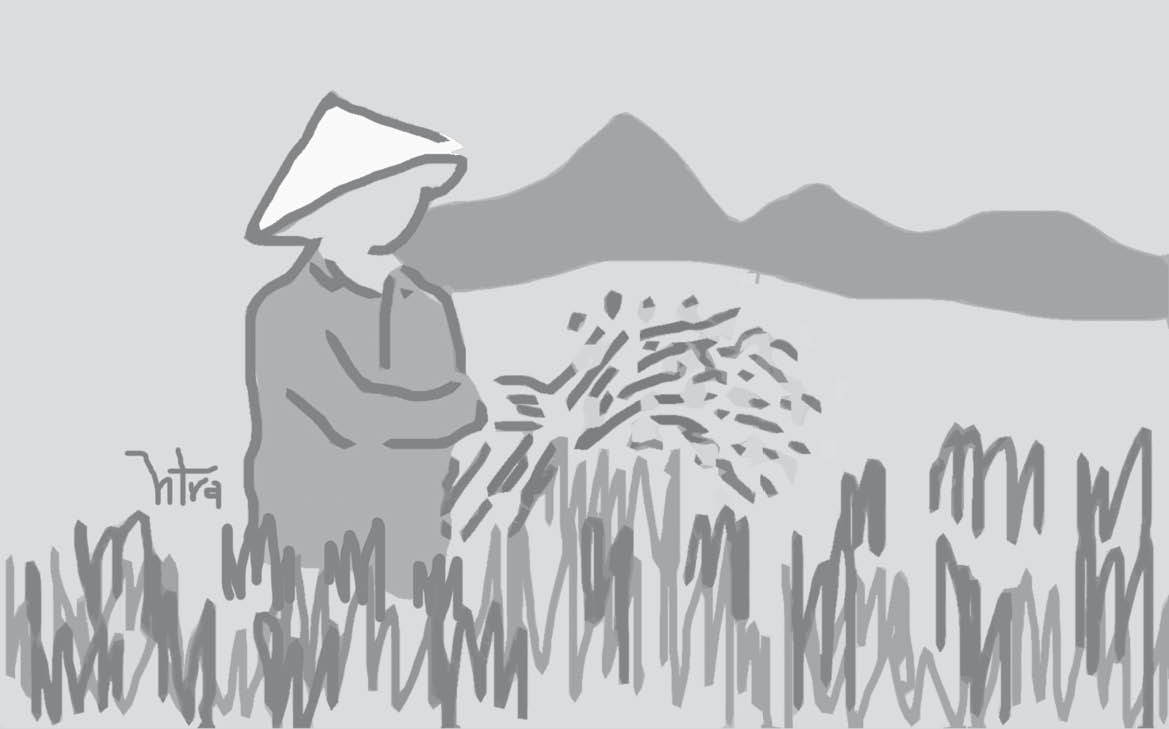 Mùa đốt đồng  trong mưa