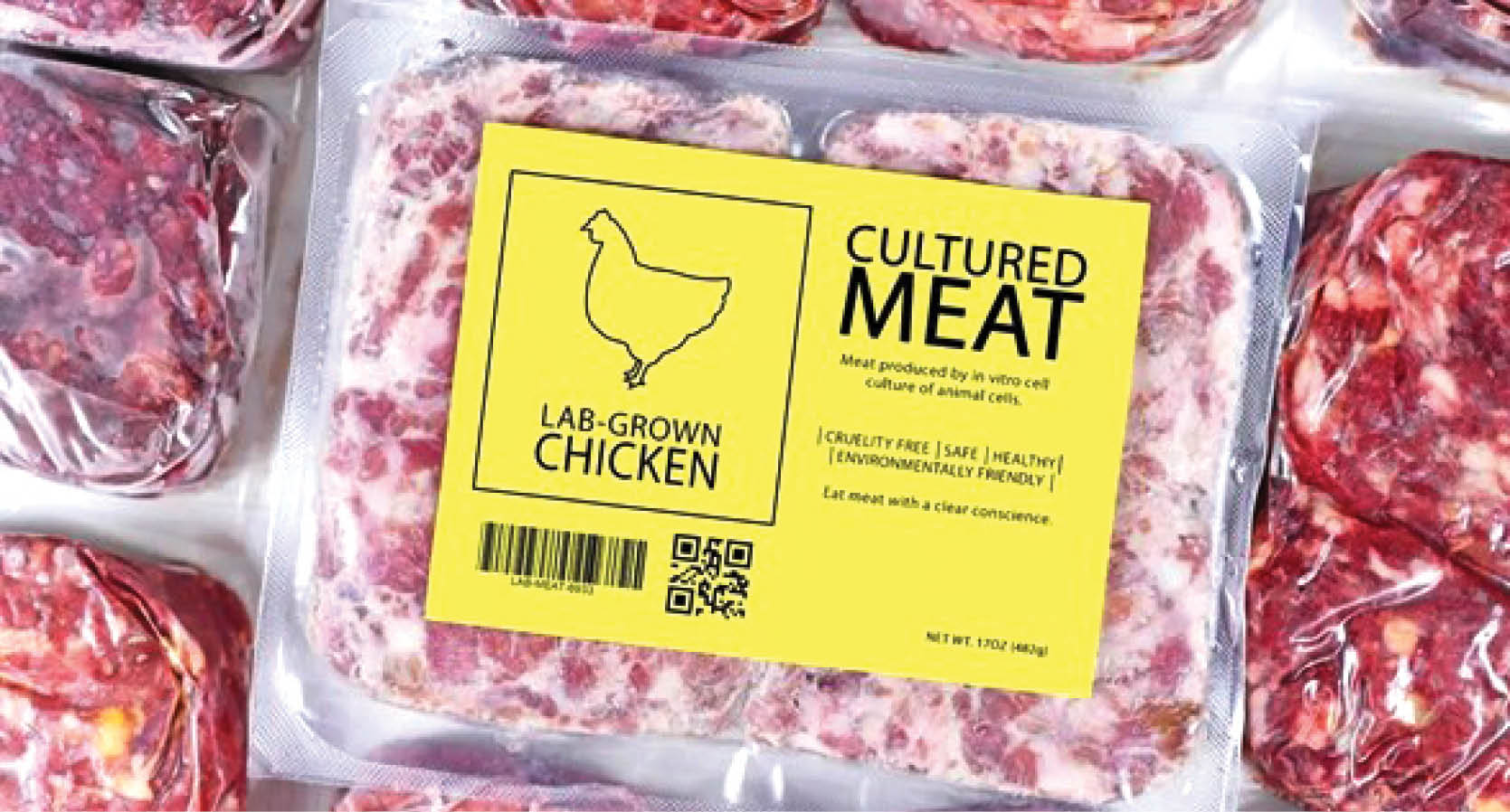 Đông Nam Á Cần thêm hỗ trợ dành cho các công ty khởi nghiệp công nghệ sâu