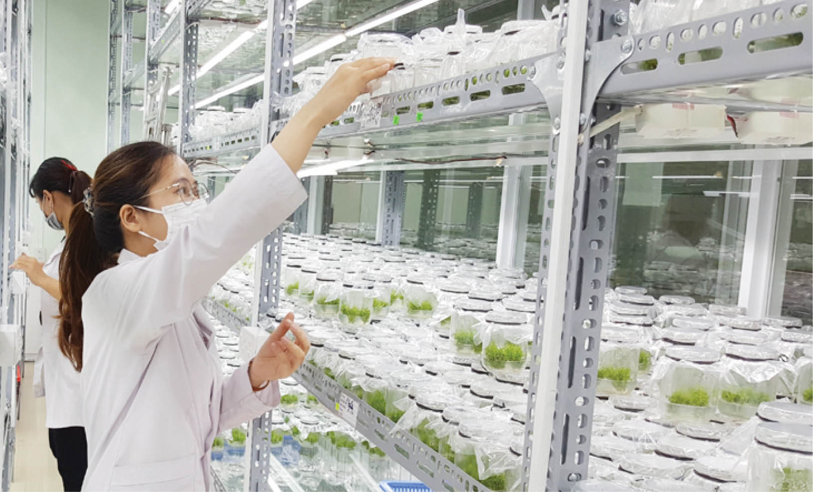 Tạo “giá trị lõi” cho sản phẩm