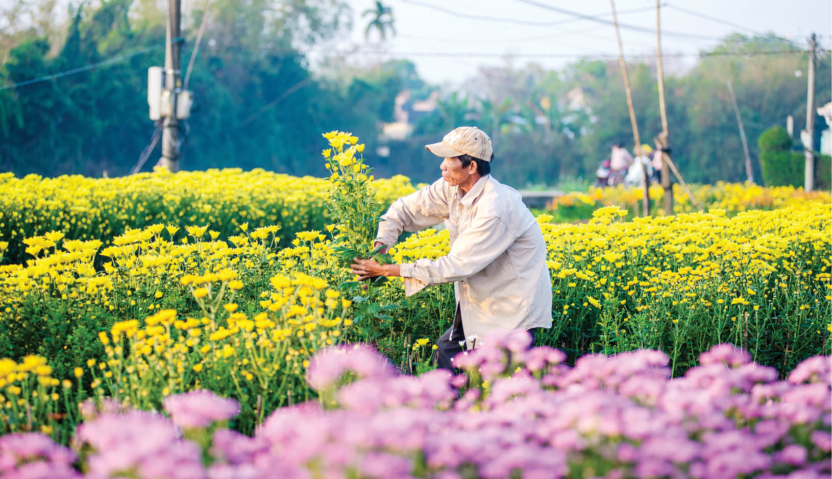 Liên kết để nâng cao giá trị sản phẩm