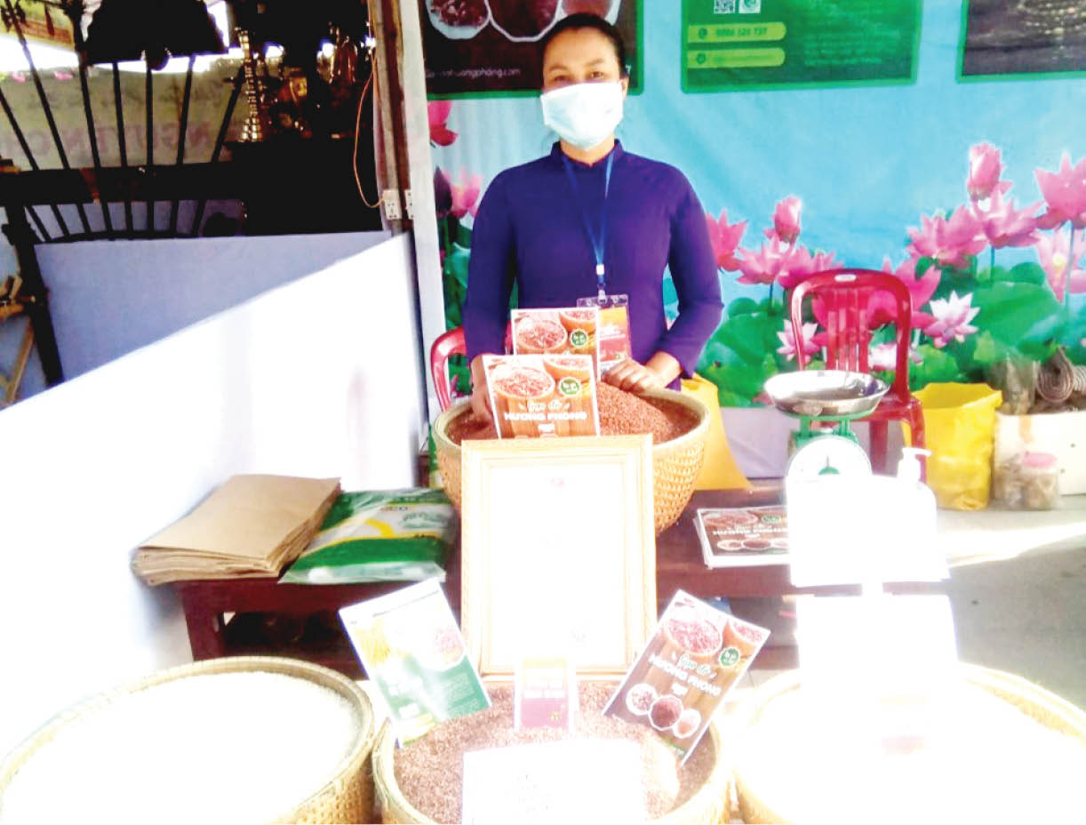 Xây dựng thương hiệu lúa gạo đỏ và nếp rằn