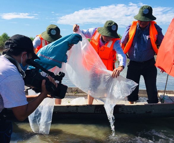 Thả 110 000 con cá, tôm giống xuống phá Tam Giang - Cầu Hai