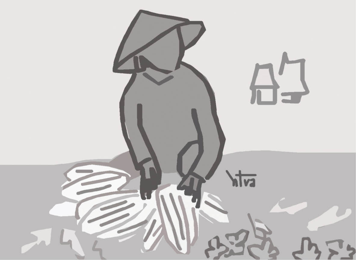 Dưa trời, muộng chuộng