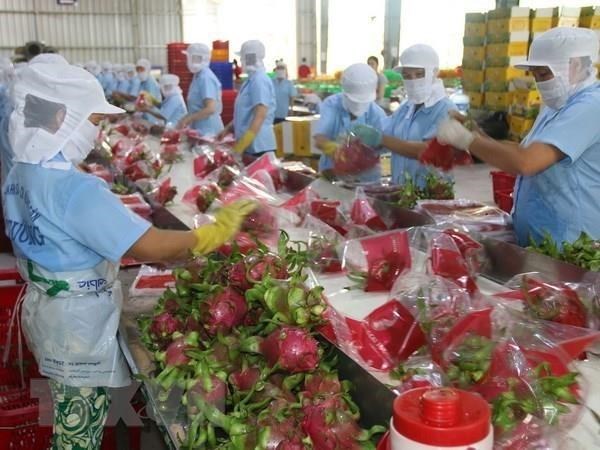 Bộ trưởng Công Thương Sản xuất nông nghiệp theo tín hiệu thị trường