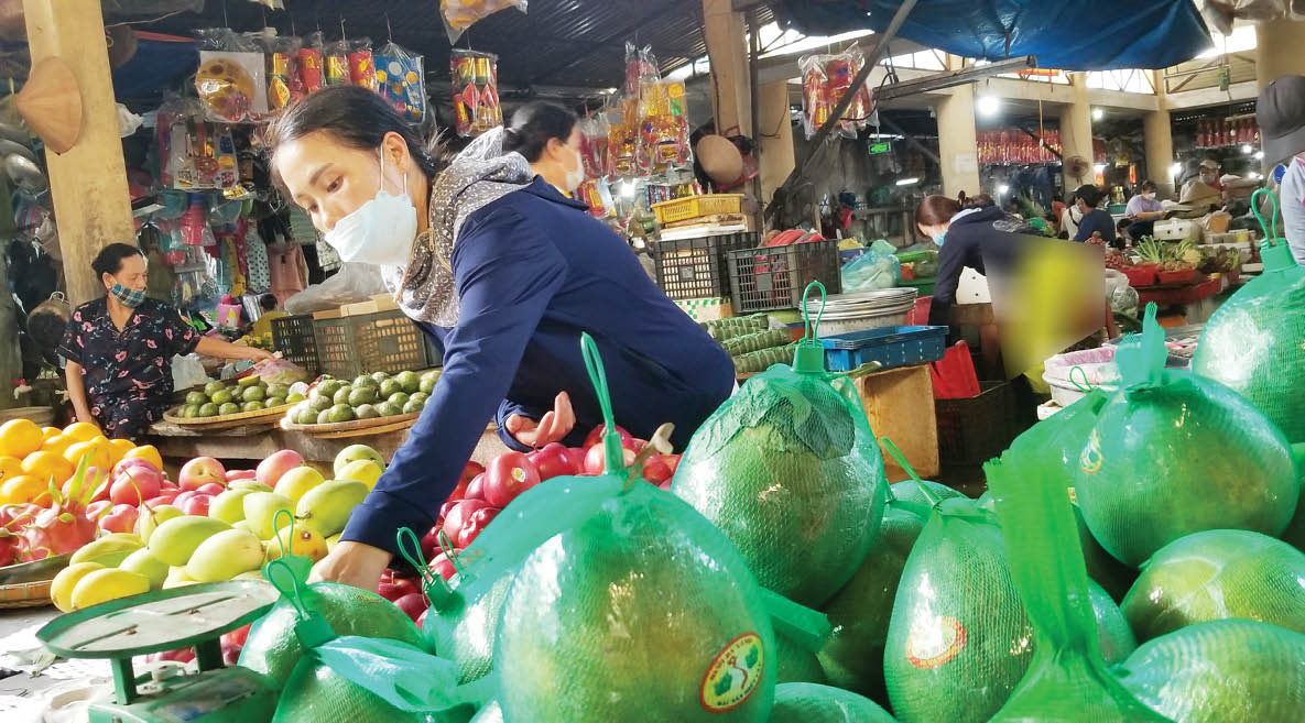 Chưa nở đã vội tàn