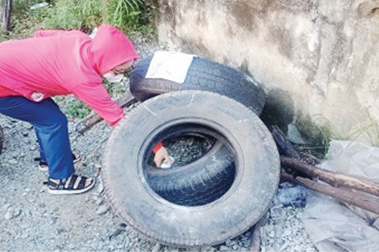 Tập trung phòng, chống dịch sốt xuất huyết