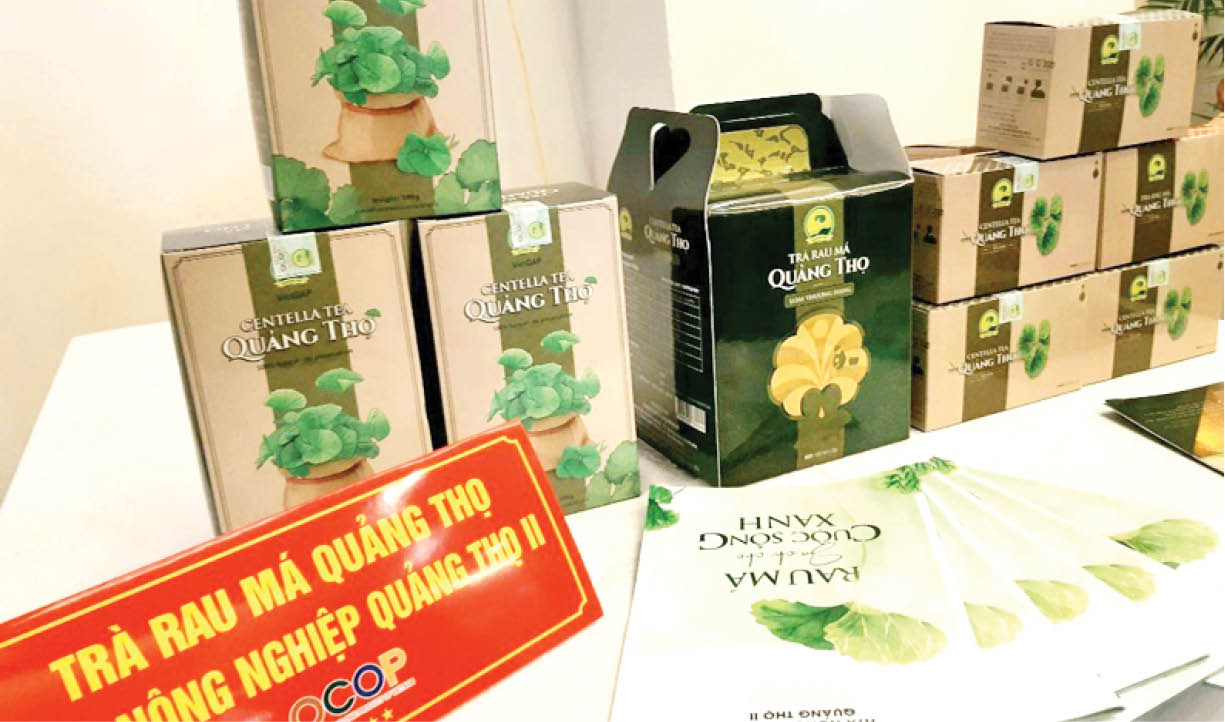 Quảng Điền Đưa du lịch cộng đồng vào sản phẩm OCOP