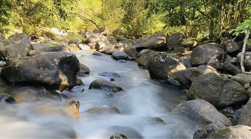 Hòa mình vào thiên nhiên ở suối Hợp Hai