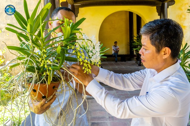 Trao đổi kinh nghiệm làm tiểu cảnh, non bộ