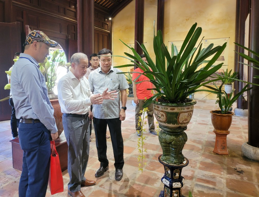 Triển lãm hơn 950 tác phẩm bonsai, phong lan và đá cảnh