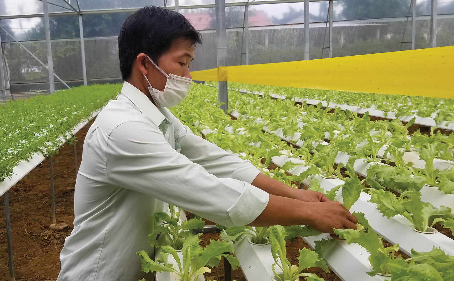 Đưa thành tựu khoa học vào phát triển nông nghiệp công nghệ cao