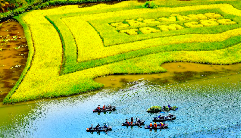 “The golden color of Tam Coc”