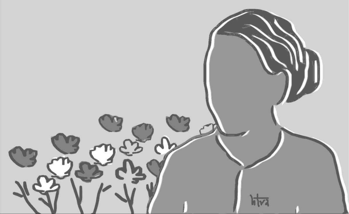 Hoa mười giờ đã nở