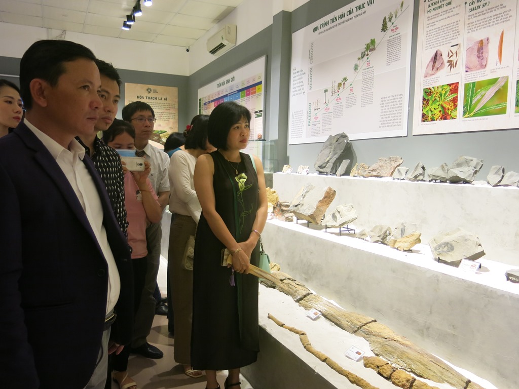 Kỳ thú ngắm hàng trăm mẫu vật hóa thạch về nguồn gốc của sự sống