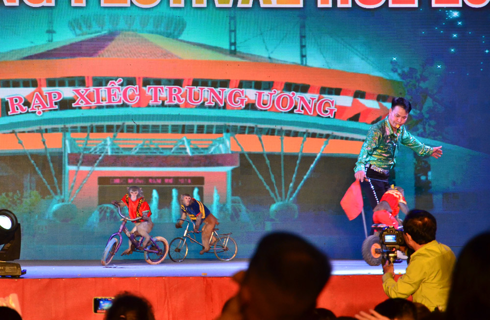 Eye-catching, suspenseful, and thrilling with circus performances