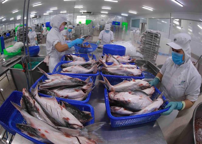 Khoảng 85,4 số dòng thuế quan trong ACFTA sẽ được xóa bỏ trong giai đoạn 2022 - 2027