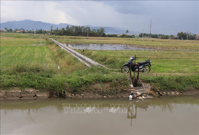 Hàng nghìn ha canh tác nông nghiệp có thể thiếu nước do nắng nóng