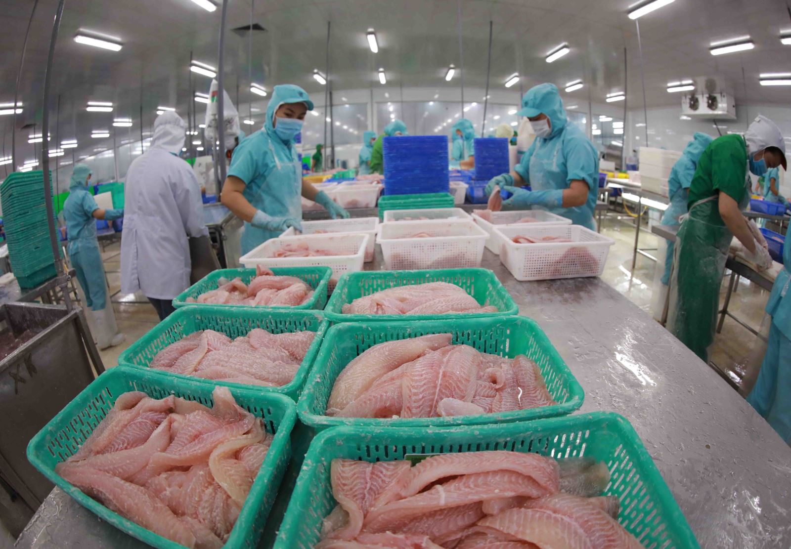 Kinh tế 6 tháng khởi sắc nhưng áp lực lạm phát lớn
