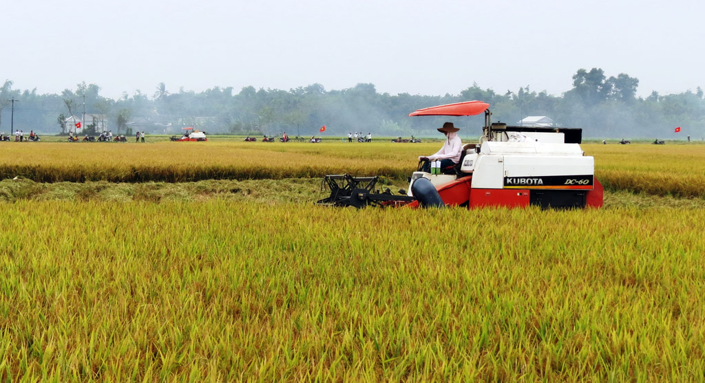 Phong Điền thu ngân sách 6 tháng đầu năm đạt 64 dự toán
