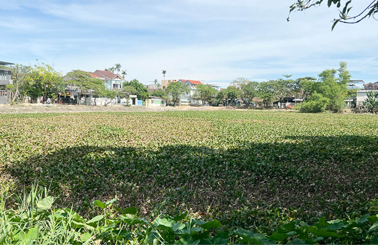 Gia cố hồ nội thành, tăng cường khả năng tiêu thoát lũ