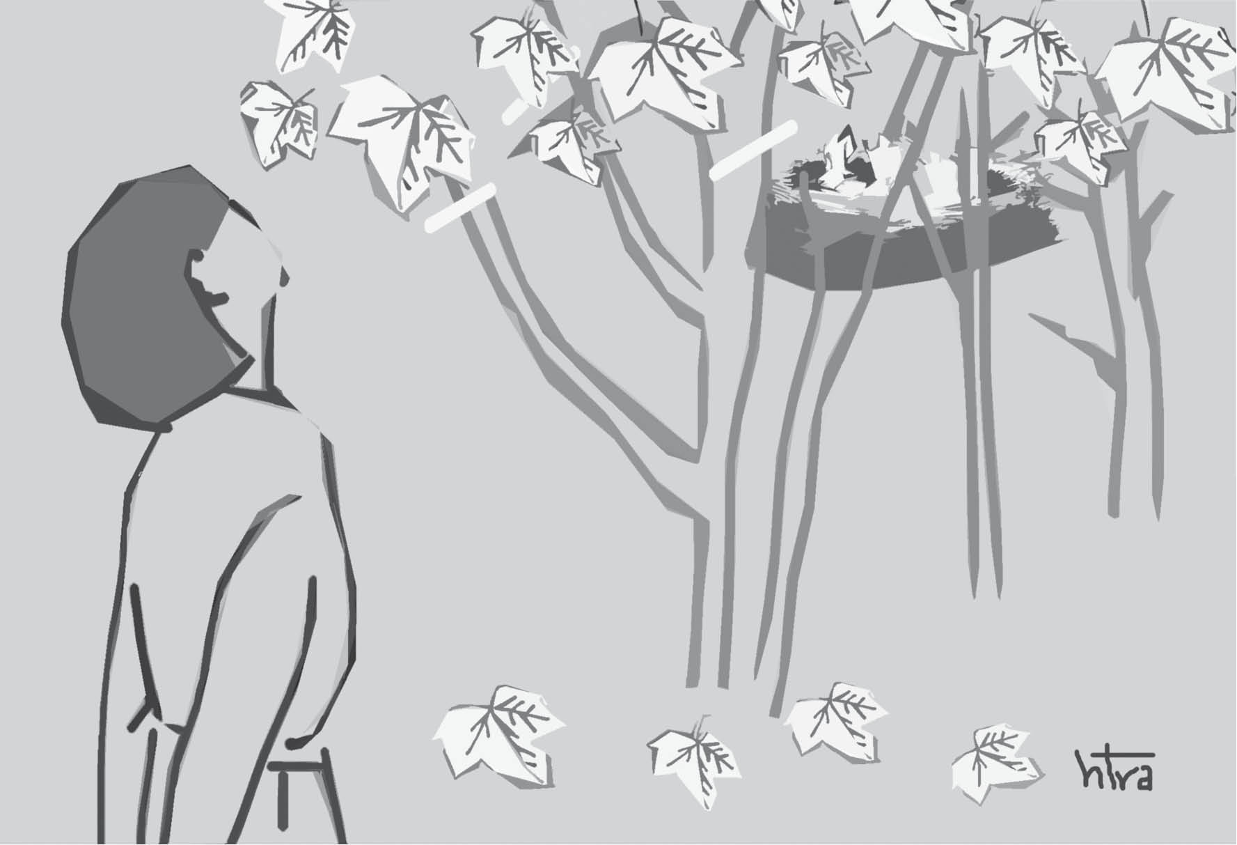 Nơi bầy chim về làm tổ