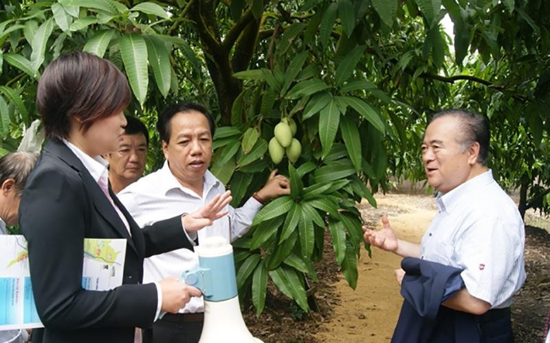 Nhiều rào cản trong chế biến rau quả