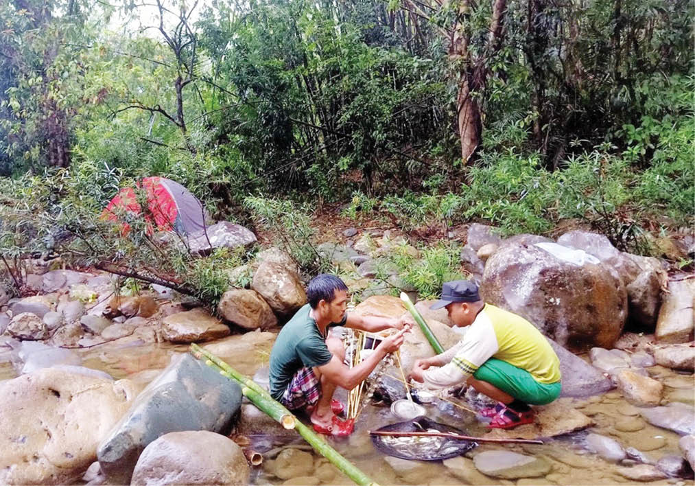 Cắm trại, dã ngoại ngày hè