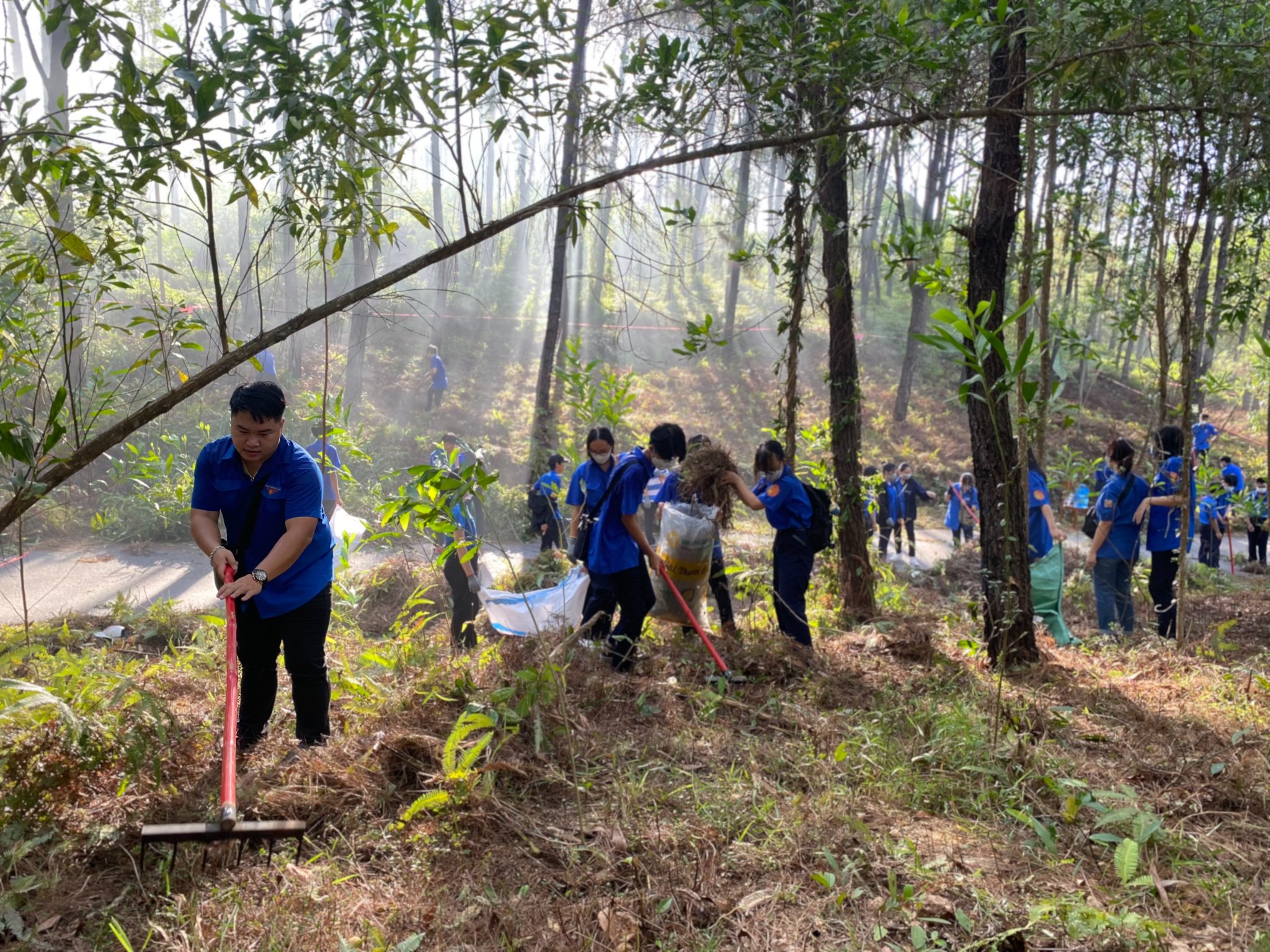Tuổi trẻ thành phố phát động phong trào bảo vệ rừng cảnh quan