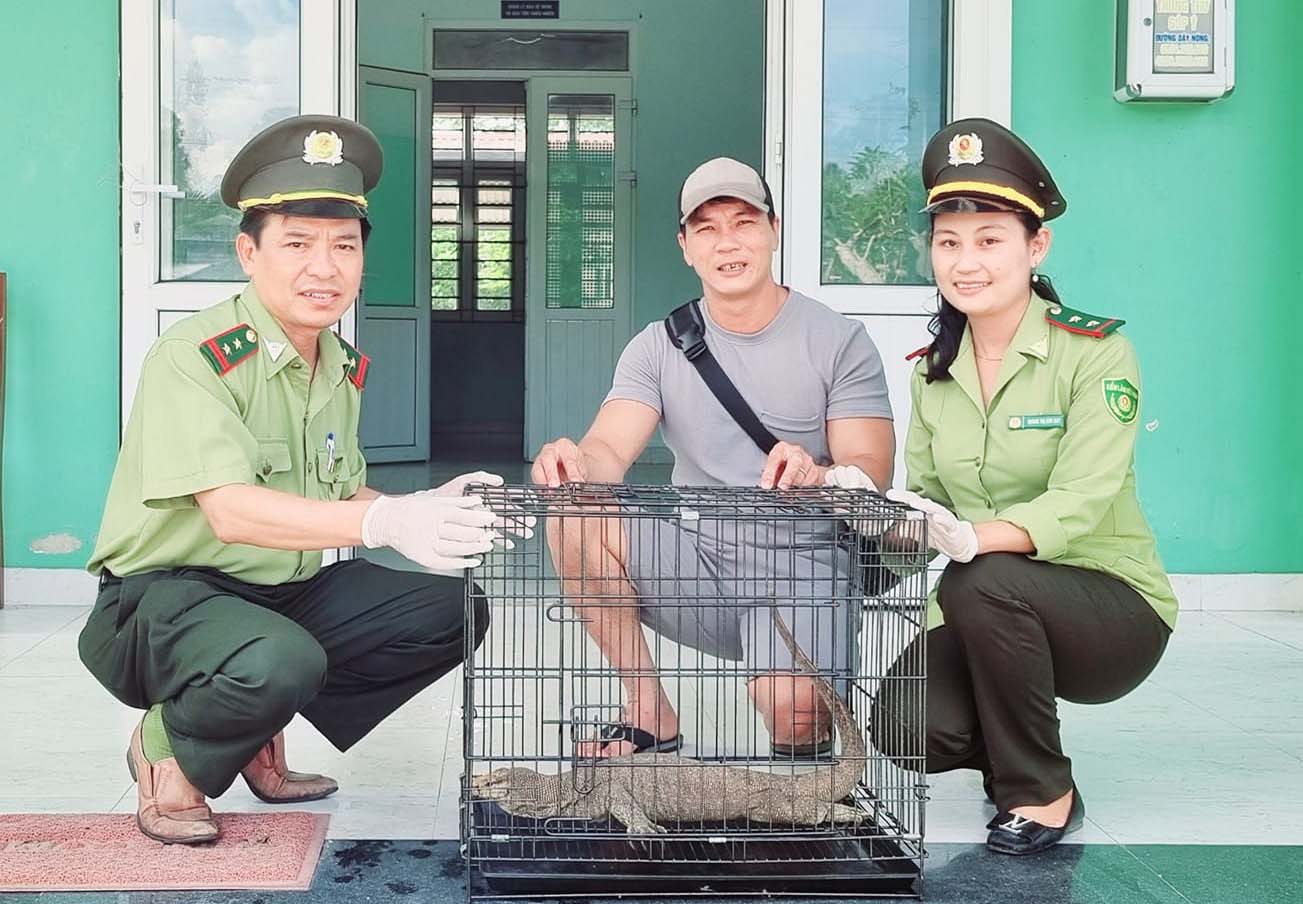 Receiving a rare individual of clouded monitor lizard