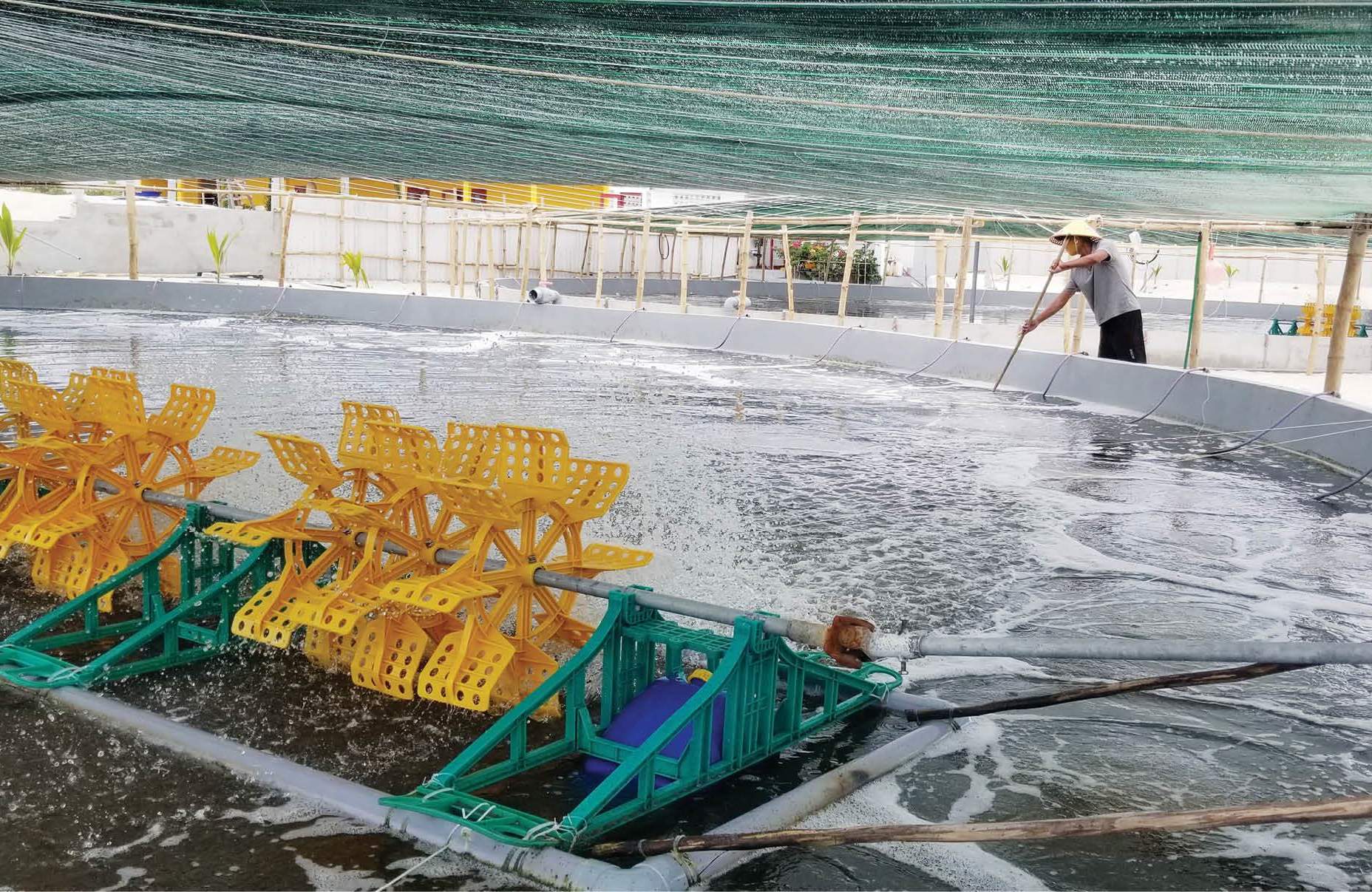Tăng giá trị hàng hóa trong nuôi trồng thủy sản xanh