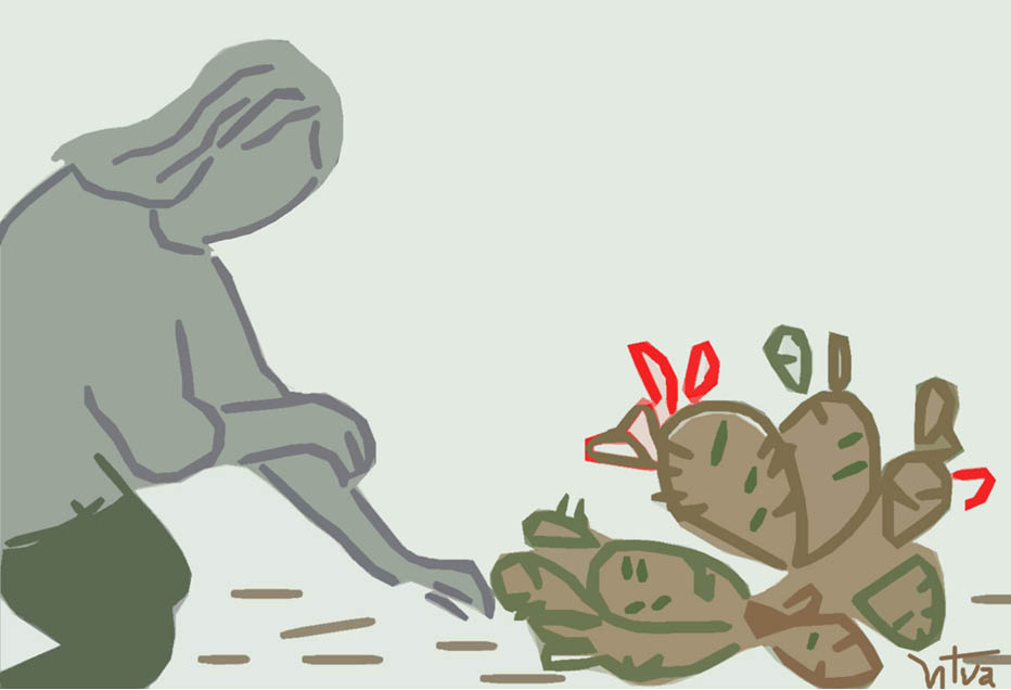 Mùa hoa xương rồng