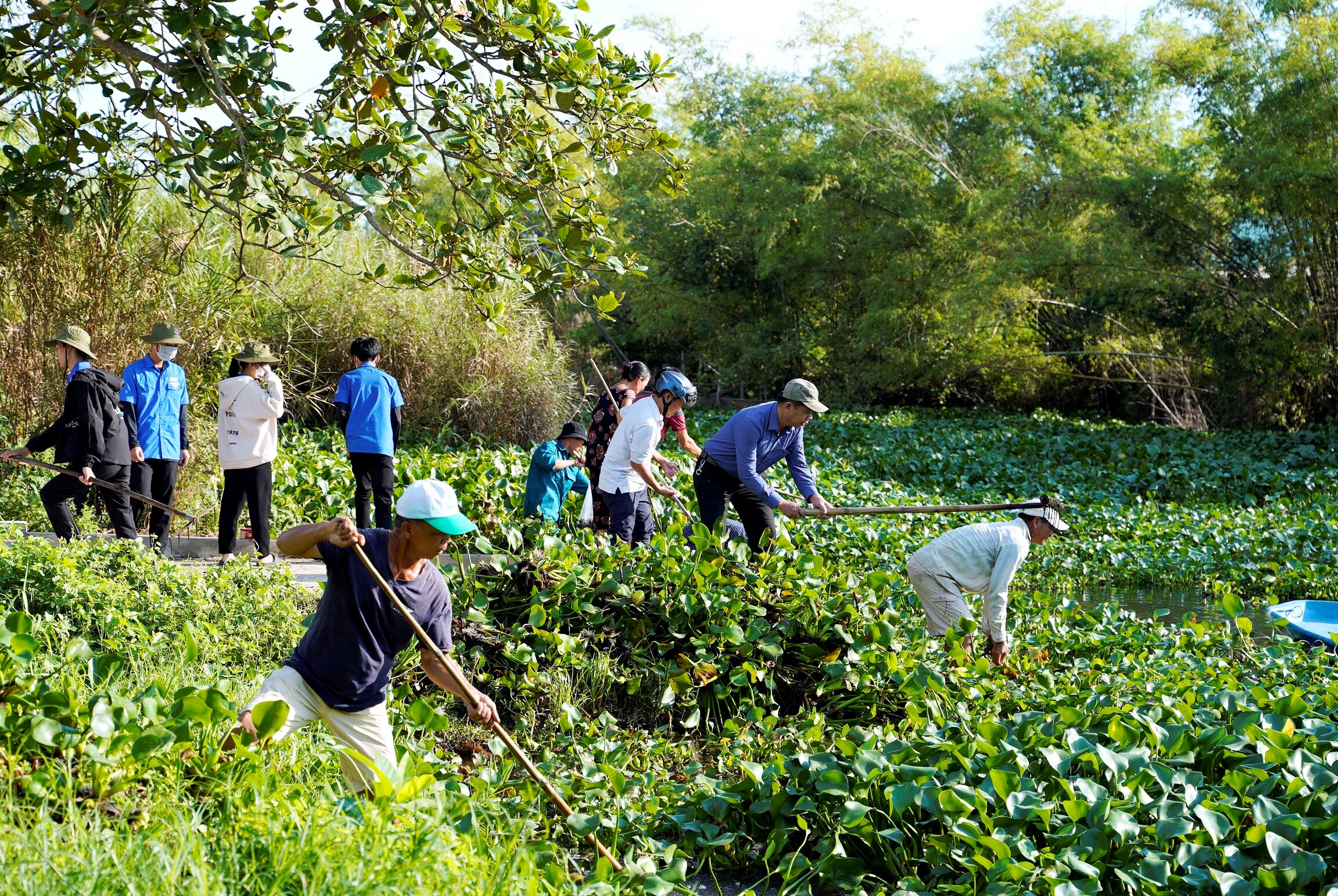Hương Thủy 300 người trục vớt bèo lục bình