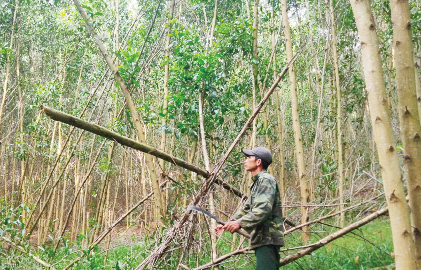 Hồ tích nước “vượt ngưỡng”, dân thiệt hại