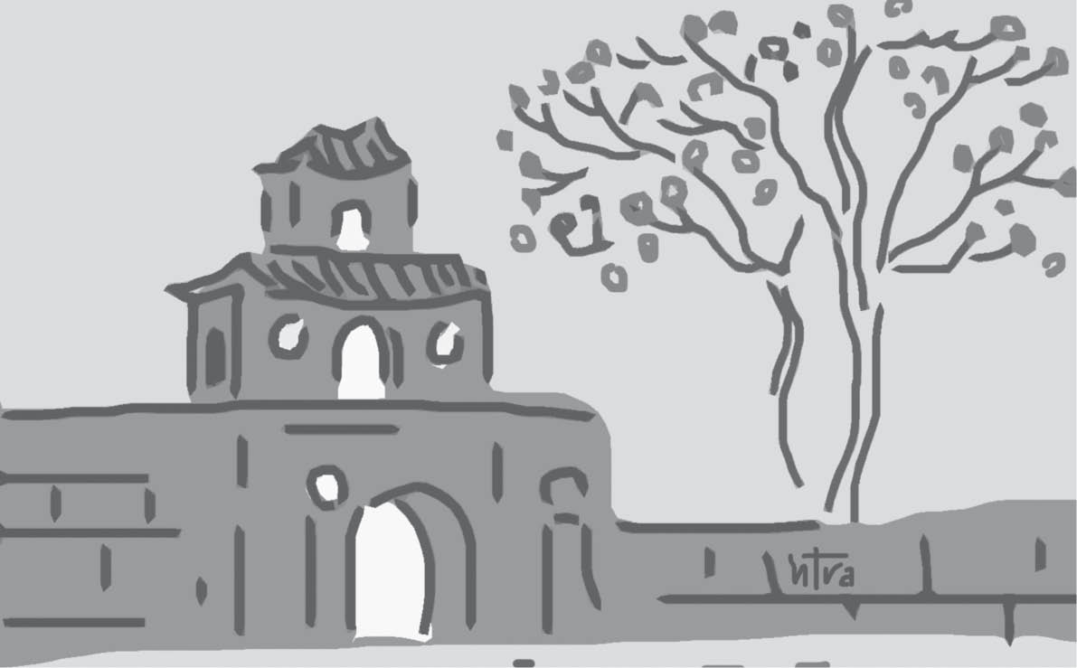 Tin ở Ngô đồng