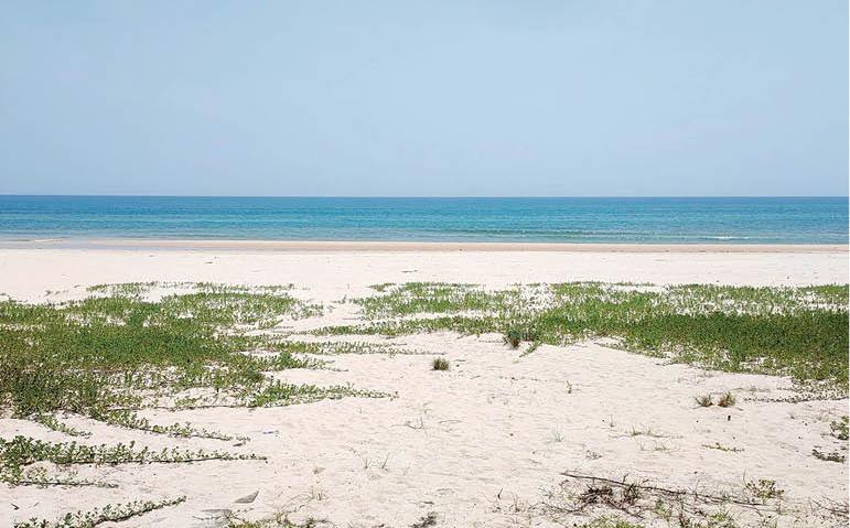 Yên bình, trong lành những vùng biển vắng