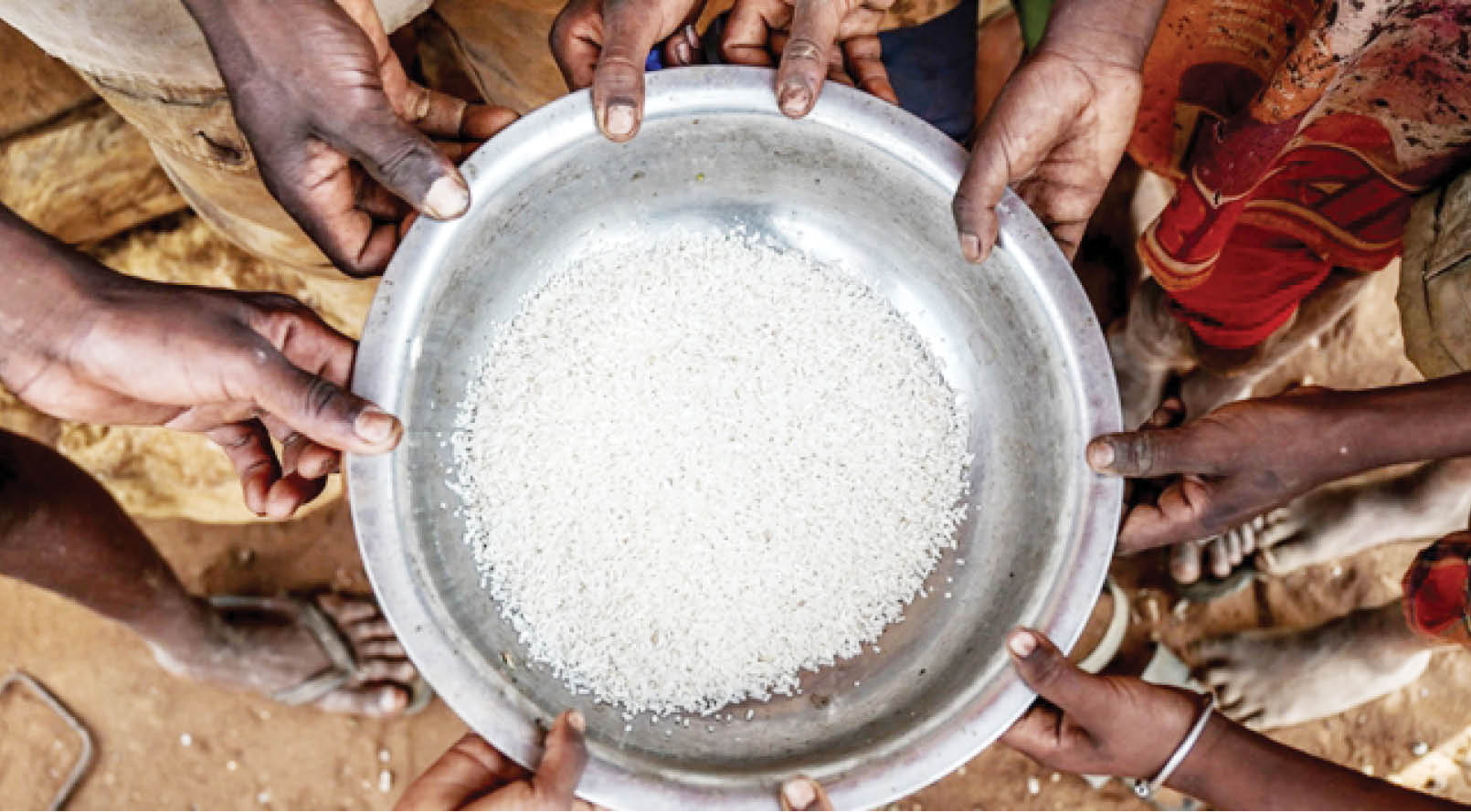 Để chống nạn đói, cần cải cách hệ thống lương thực toàn cầu