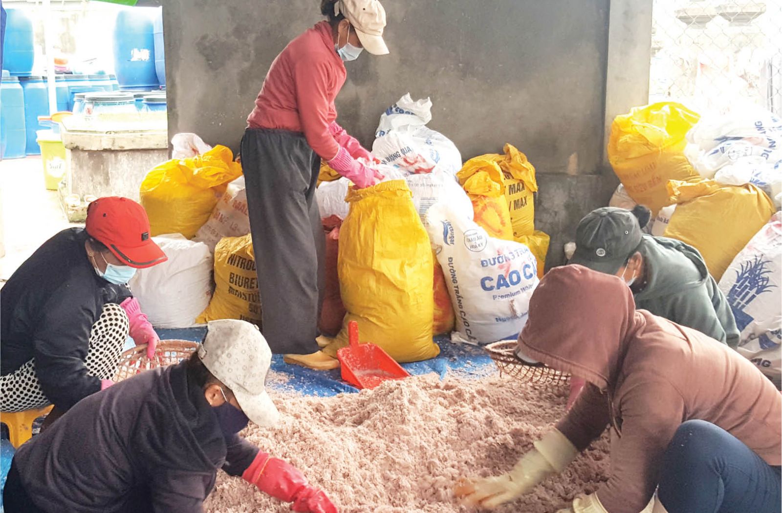 Expanding the market for Hue shrimp paste