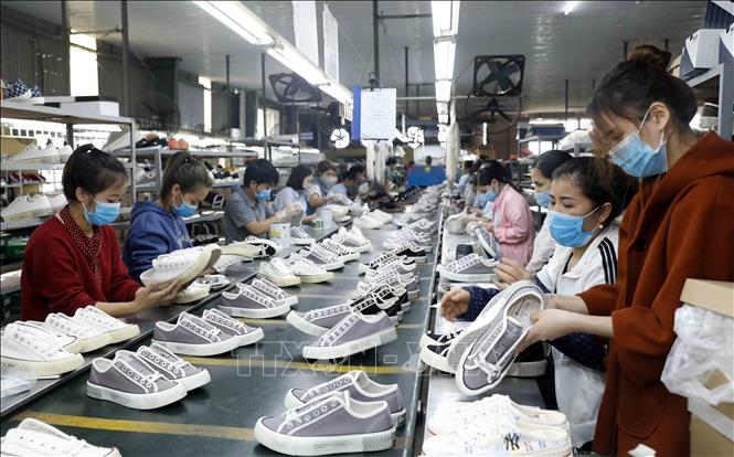 Thực thi EVFTA Xoá những khoảng cách