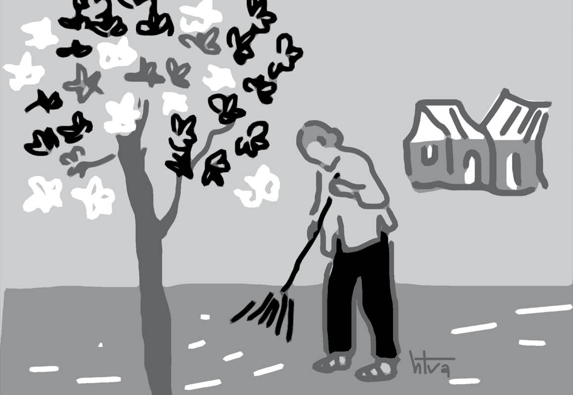 Sớm mai quét lá
